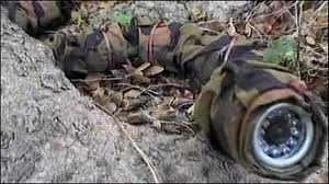 ربات مار اسرائیل